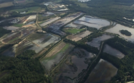 South Carolina floods bring devastation to farm crops